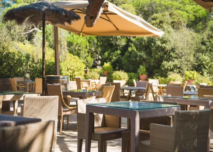 Modernes Mit Gemeinschaftlichen Pool Apartment Castiglione della Pescaia