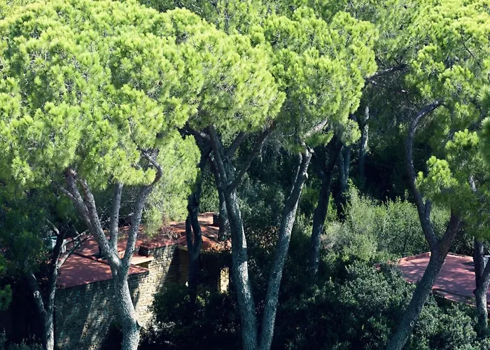 Modernes Mit Gemeinschaftlichen Pool * Castiglione della Pescaia