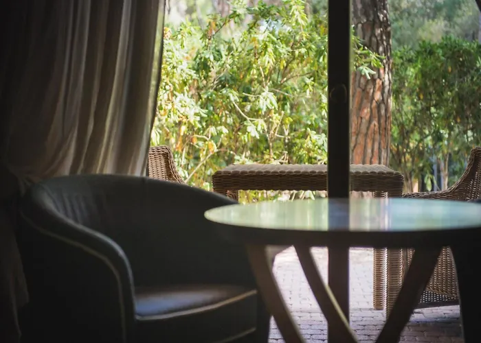 Modernes Mit Gemeinschaftlichen Pool Apartment